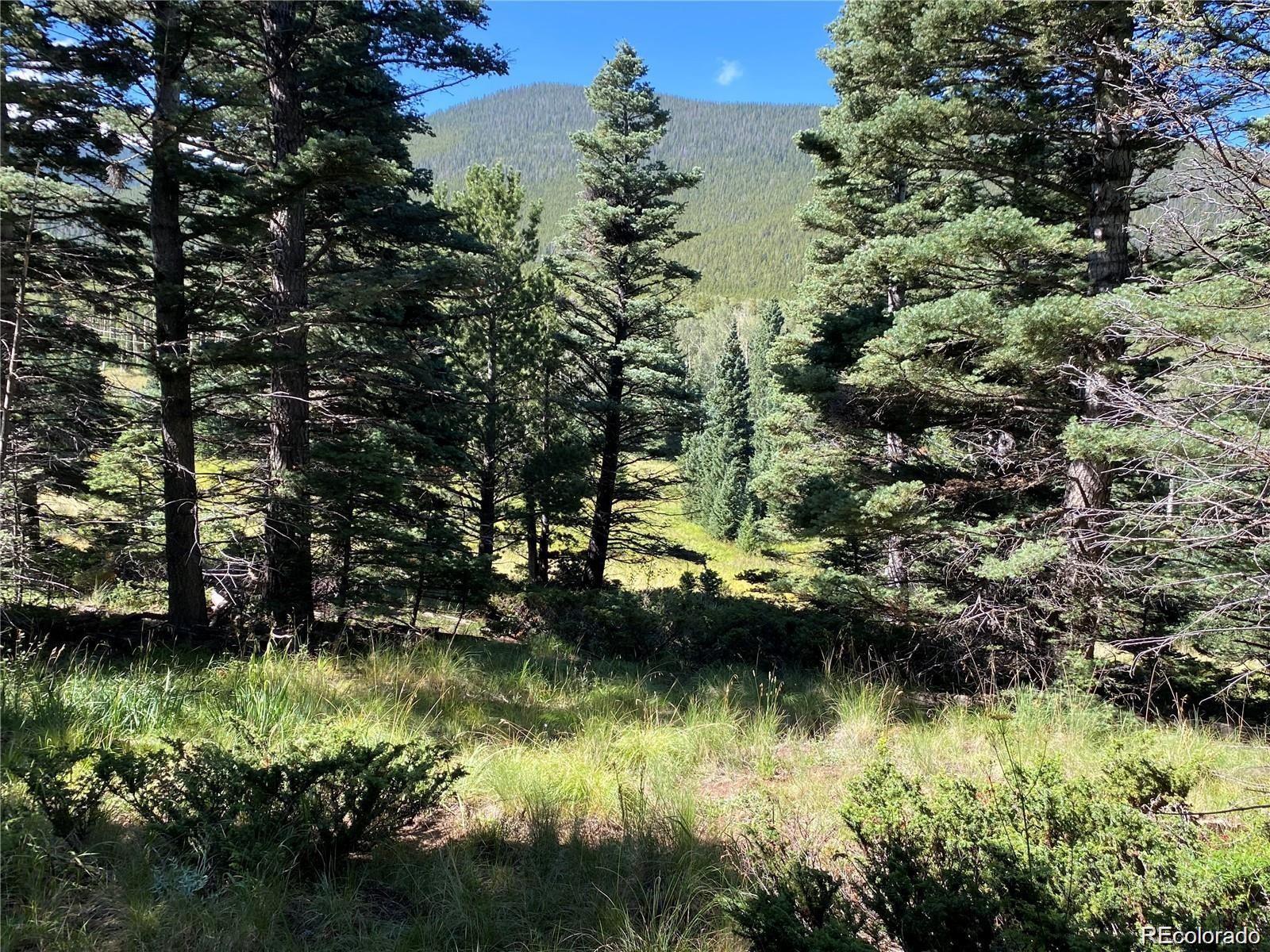 Lot 3141 Forbes Loop Road