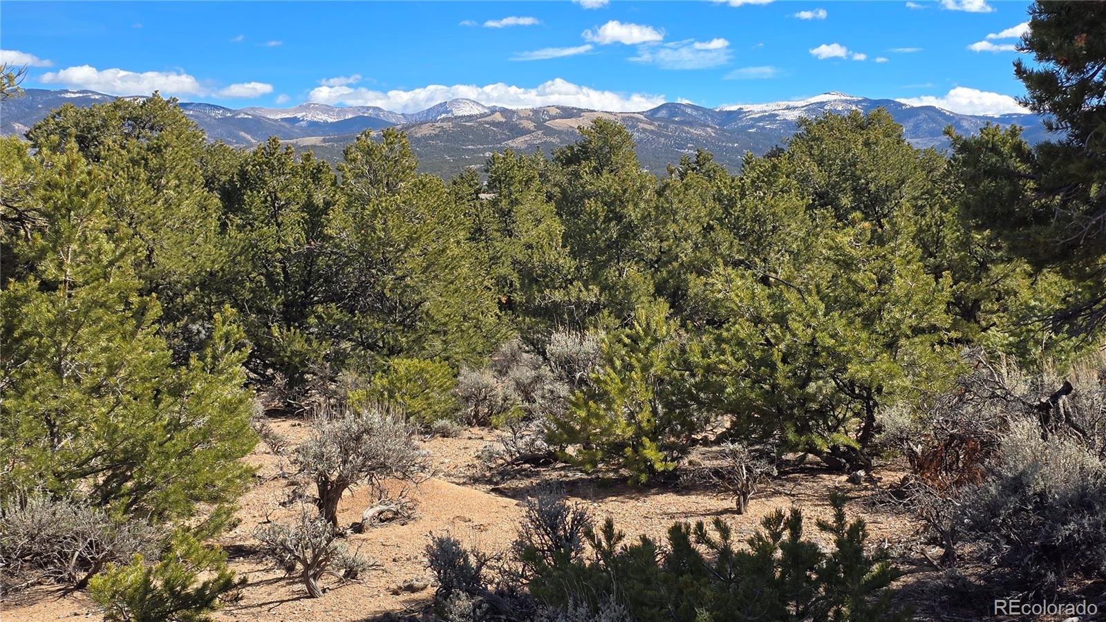 Lot 409 Williams Road