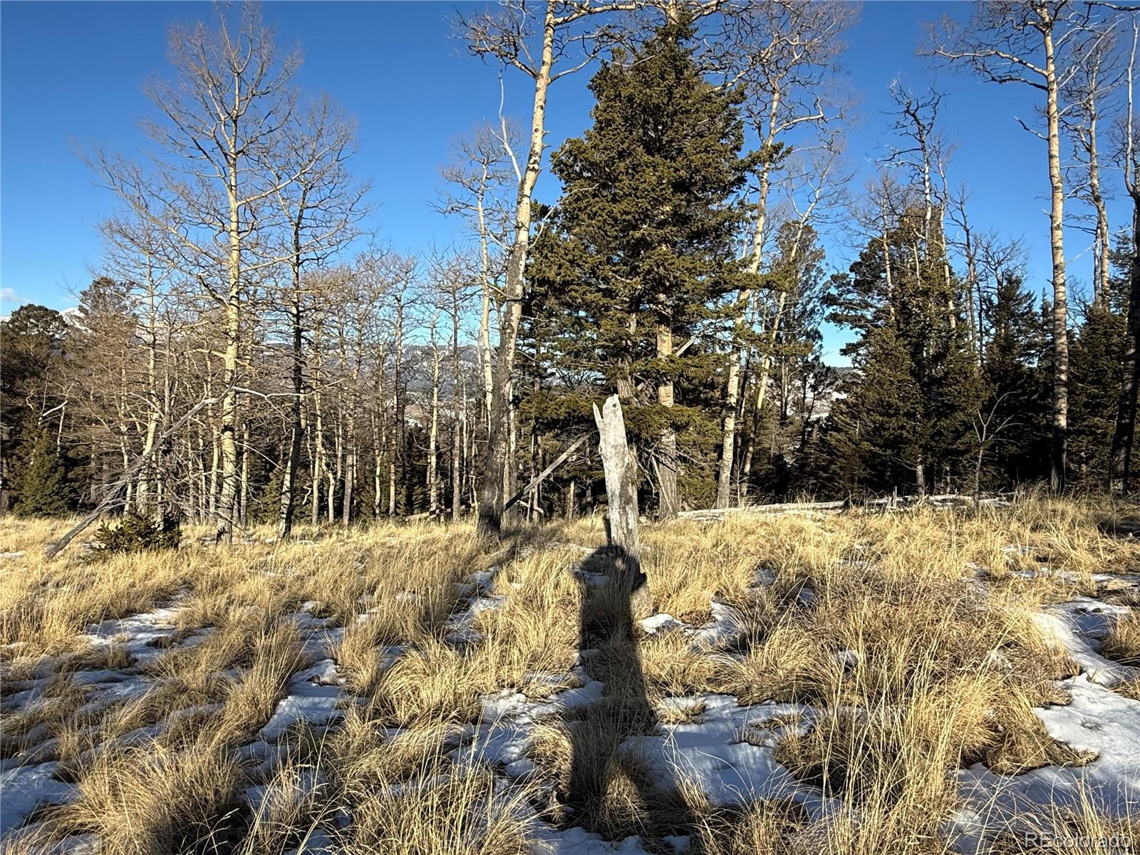 Lot 499 Collinson Drive