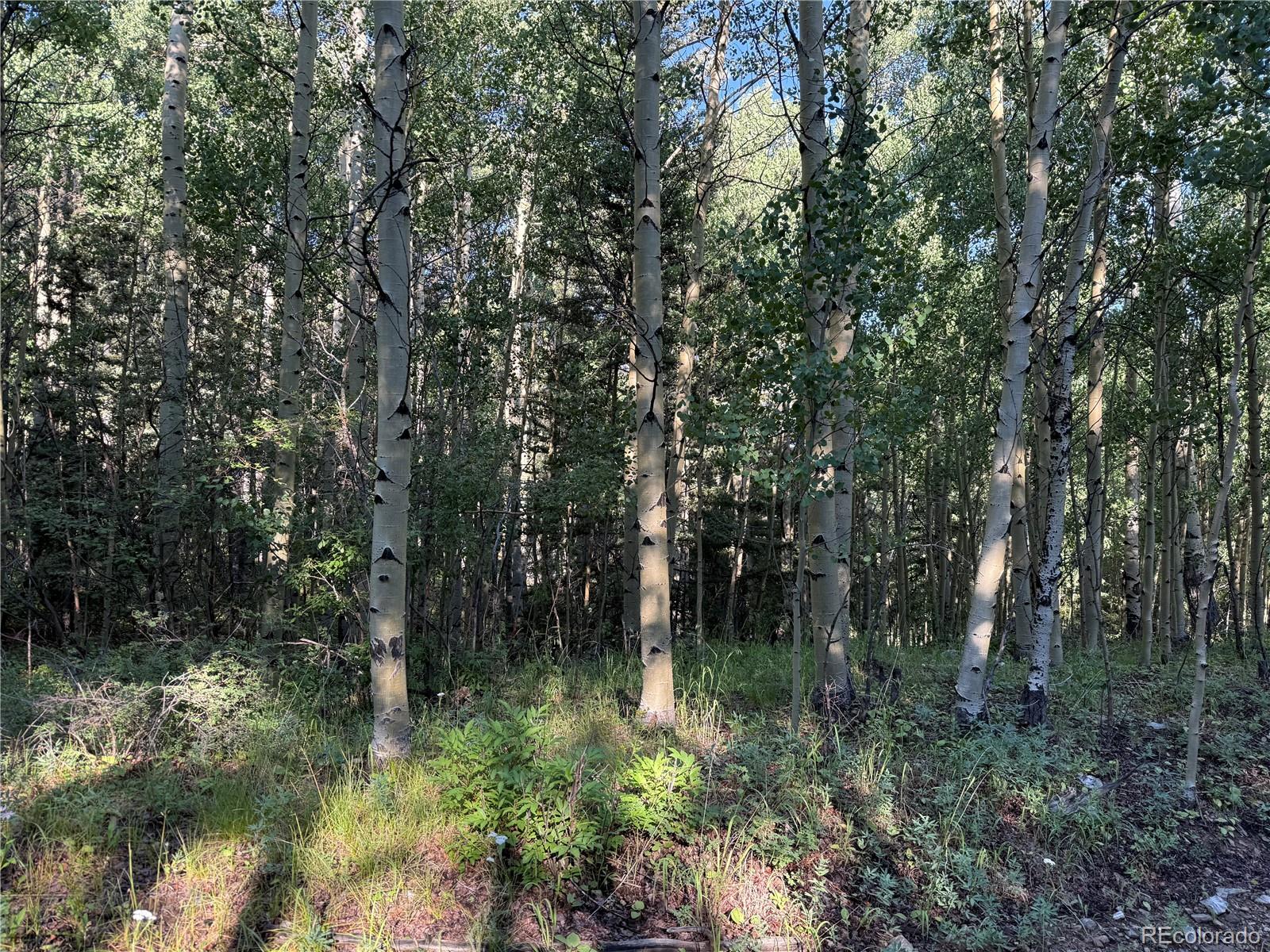 Lot 5331 Hull Road