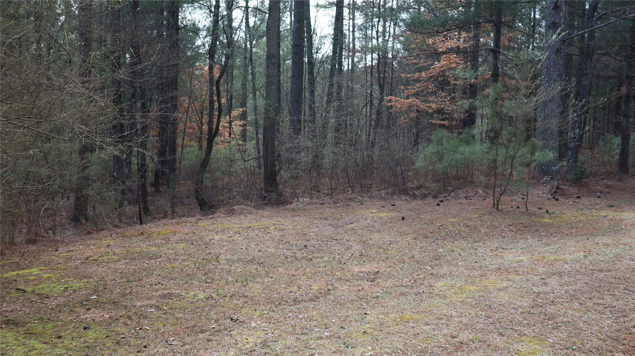 Land for sale in Connelly Springs Acreage for Sale 1518 Paradise Harbor