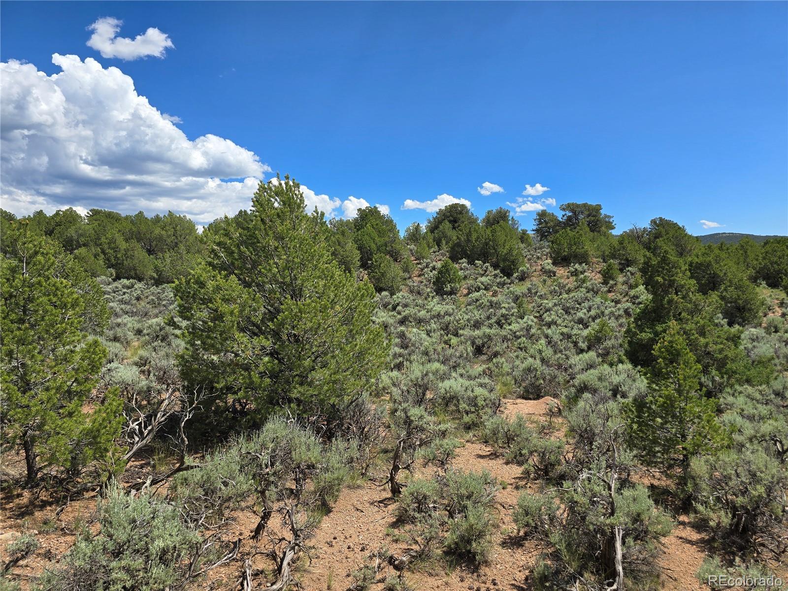 7572 Dashiell Road