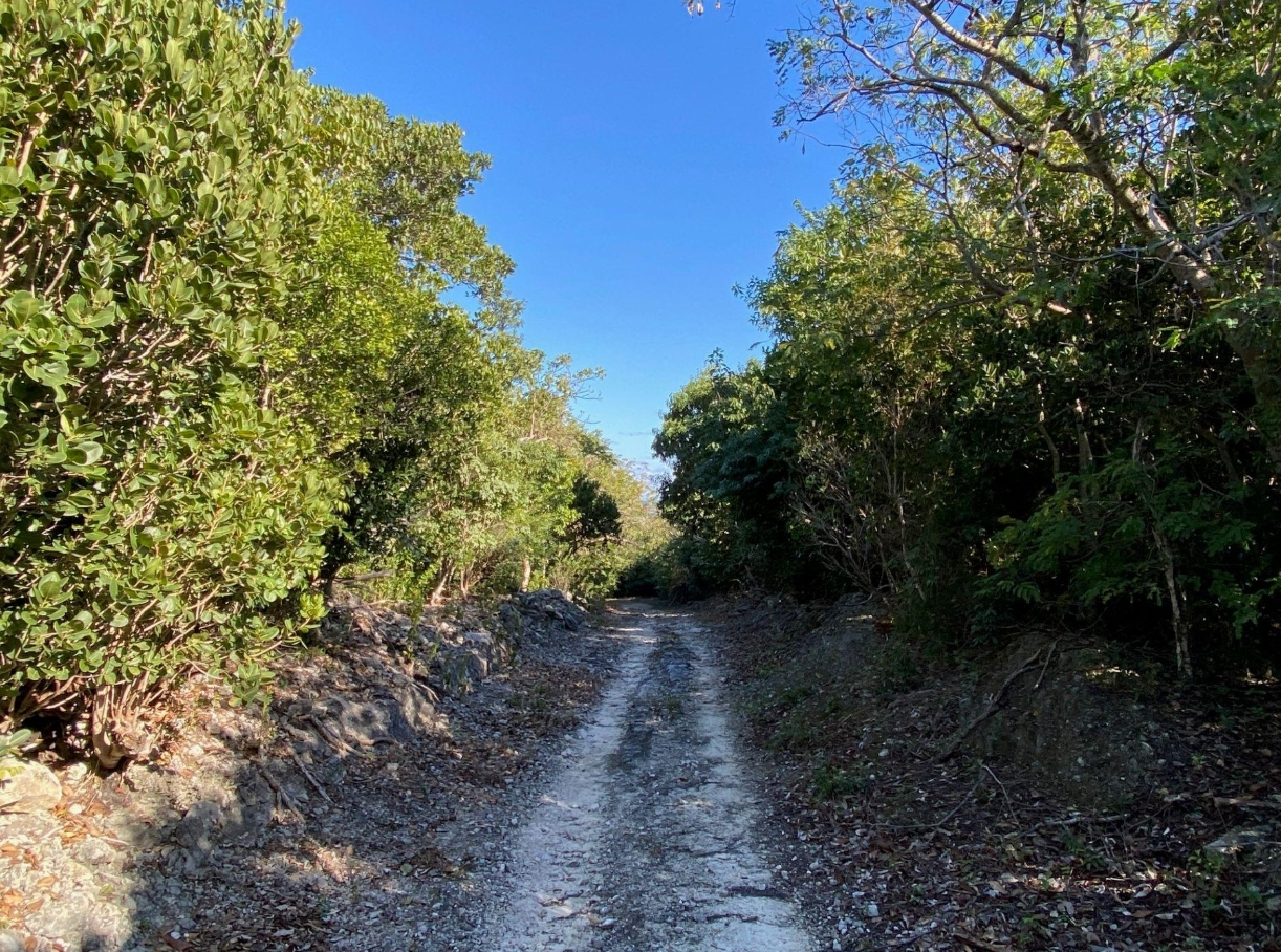 S.c. Bootle Highway,Abaco