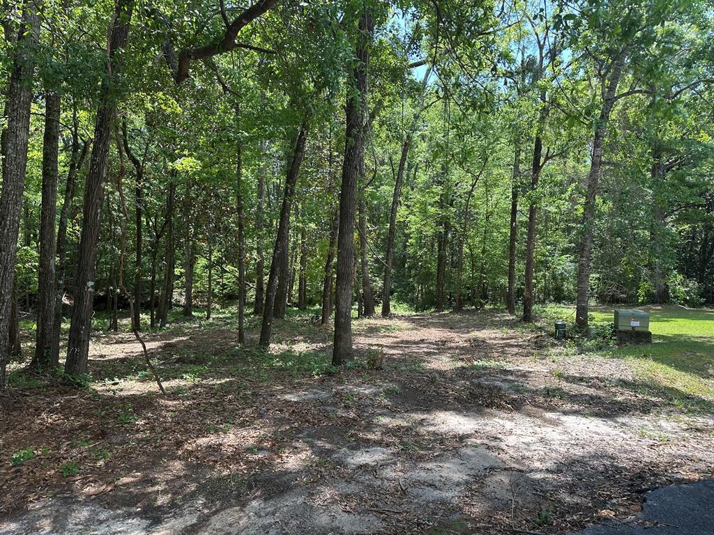 Discover the perfect setting for your dream home on this serene, wooded residential lot nestled in an upscale, quiet cul-de-sac. Surrounded by mature trees and natural beauty, this property offers both privacy and a peaceful atmosphere, yet it is convenient to Thomasville and Tallahassee. City water is available at the street, and a septic system will be required. Don't miss this rare opportunity to build in one of our area's most sought-after neighborhoods!