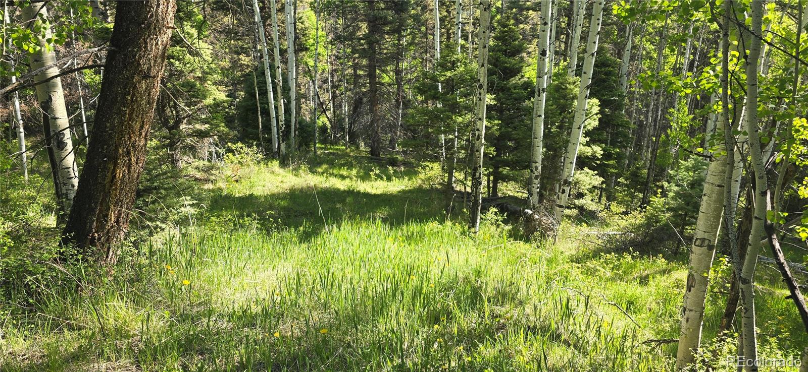 Lot 6385 Jaquez Road