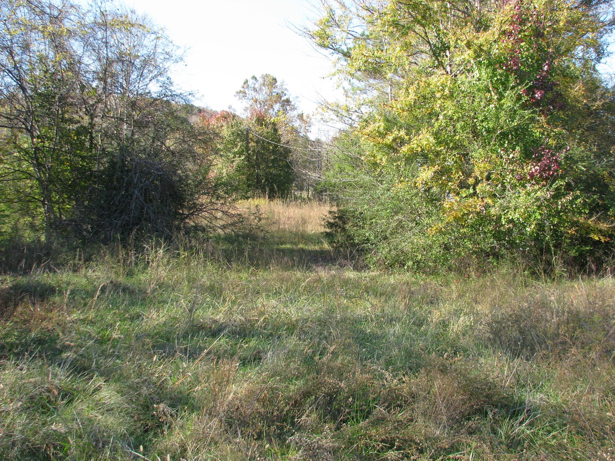 199 Spann Loop