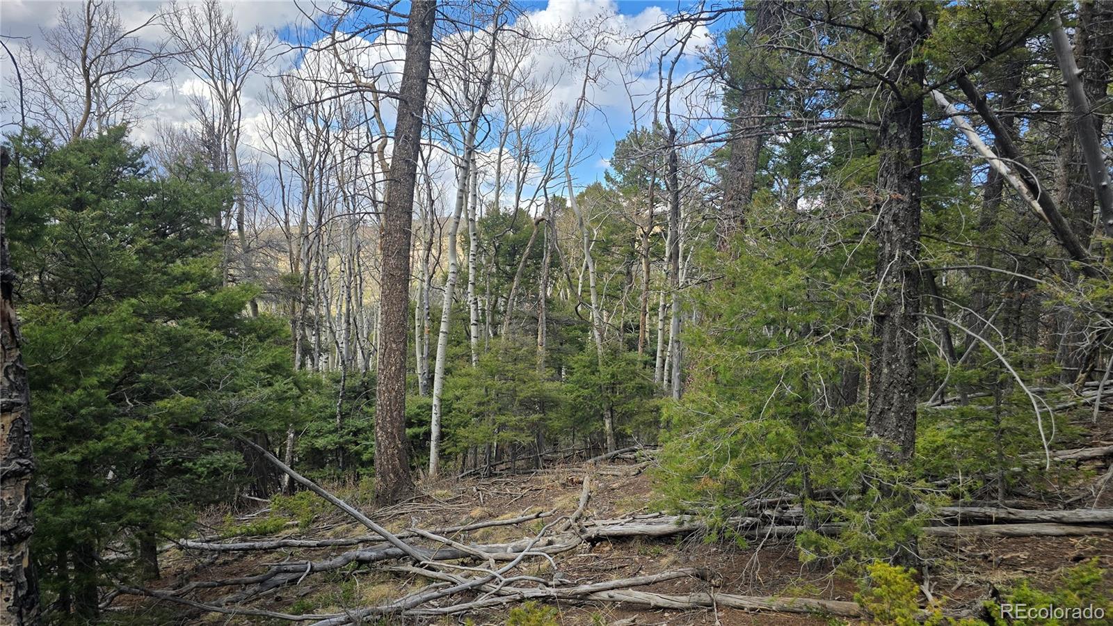Lot 5261 Scott Road
