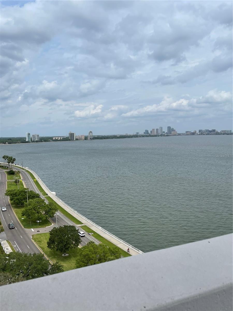 4015 Bayshore Boulevard 15A