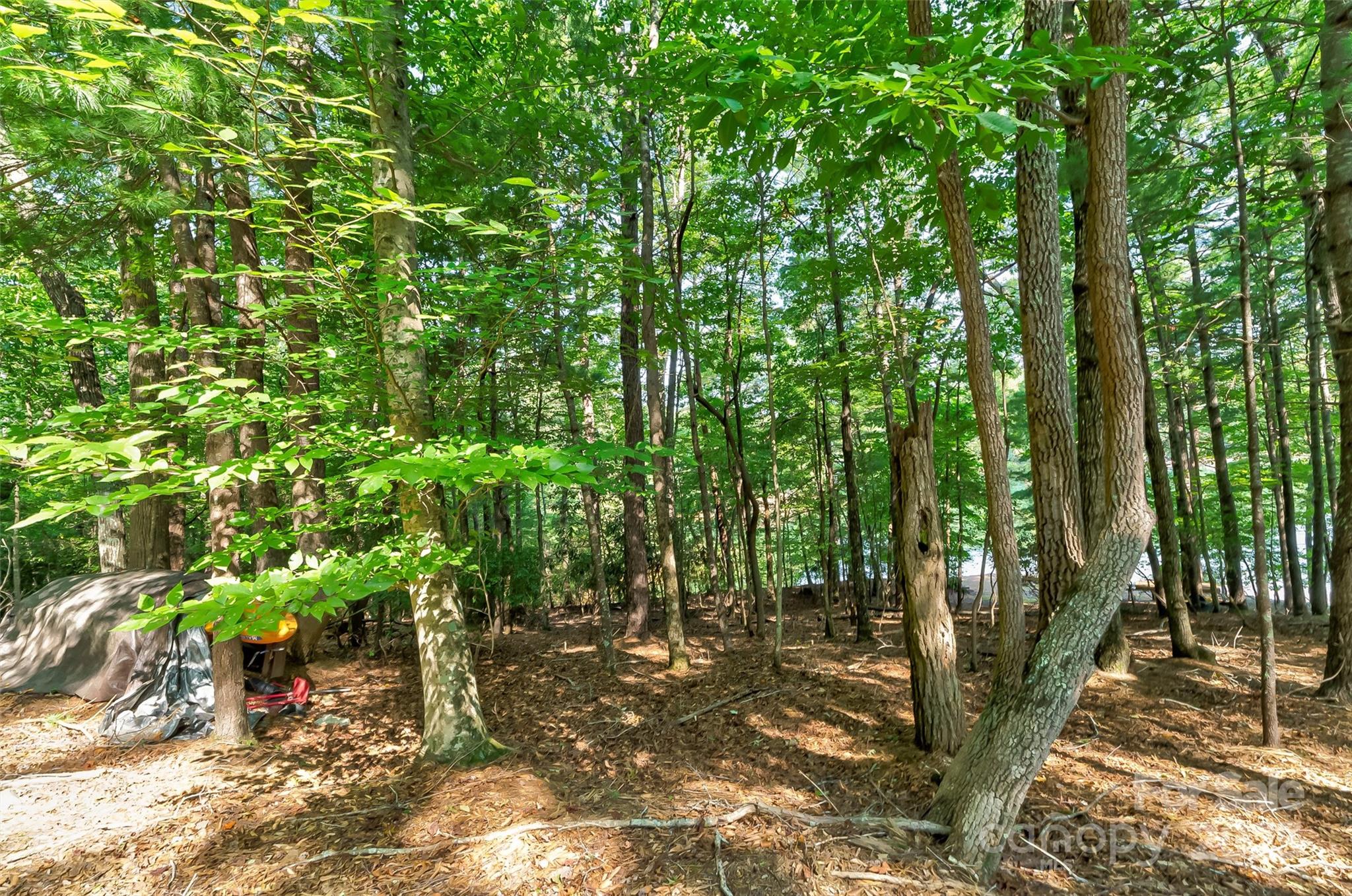 167 Cabin Bluff Drive 5&6