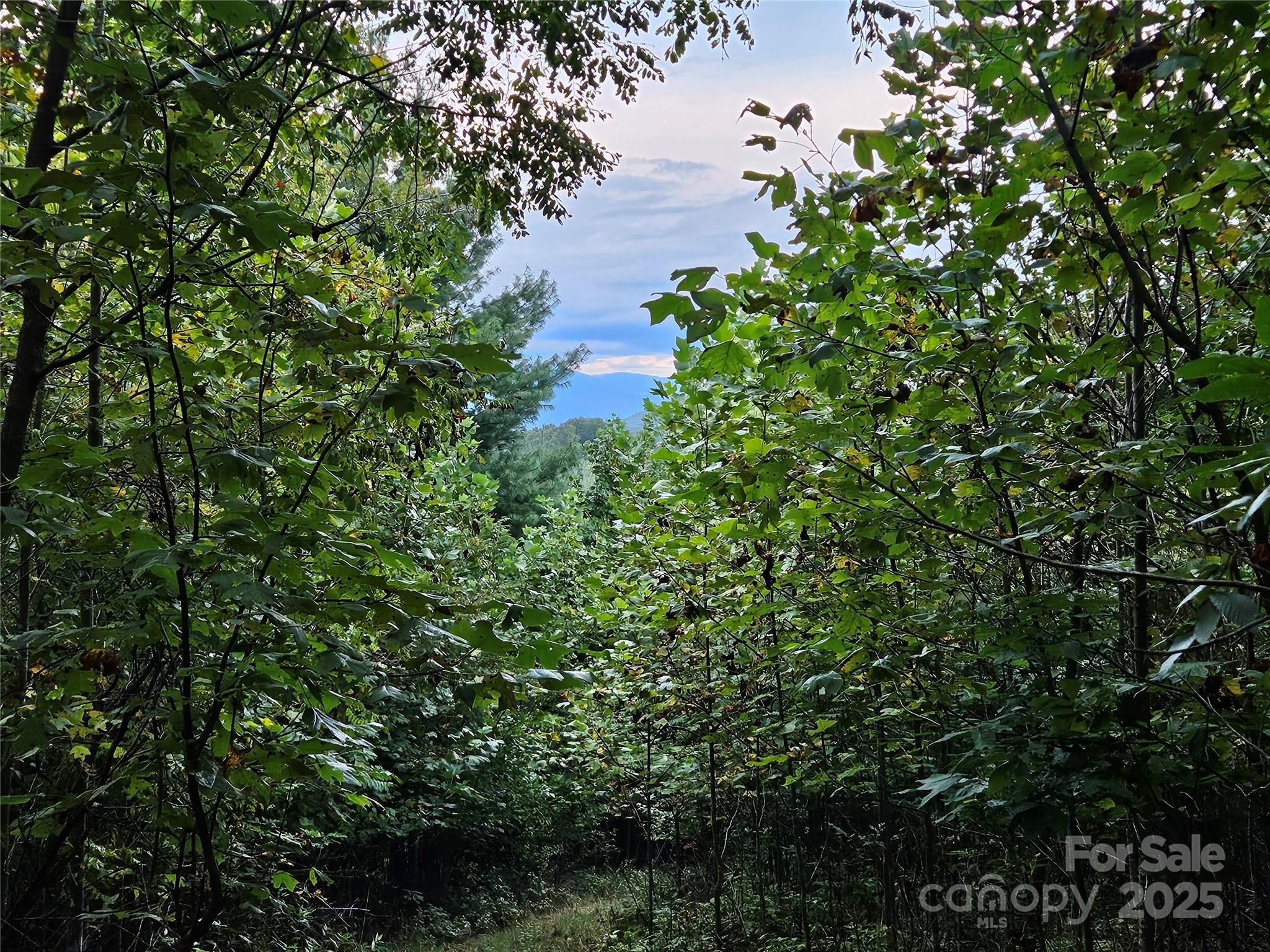 Beautiful & Private 3 acres only 3.3 miles up Double Island from Micaville in Green Mountain NC! 
Large homesite on top with large spacious area for a 2nd home or garage/ workshop. Road cut in. Huge mountain views from all directions. Could easily open up some bigger views with tree trimming. No restrictions and very easy access off paved road. Power nearby. Does need a septic and well. New survey will need to be completed.