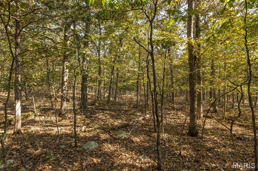 12.5+/- Acres On Effin Road