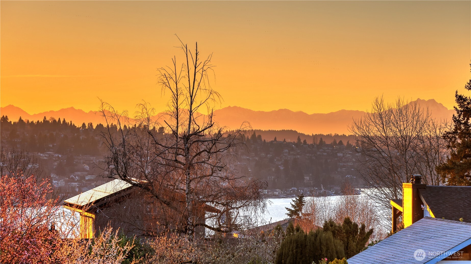 1401 Lincoln Avenue NE