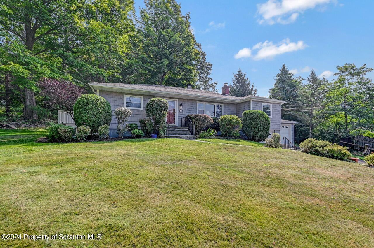 100 Buckhill