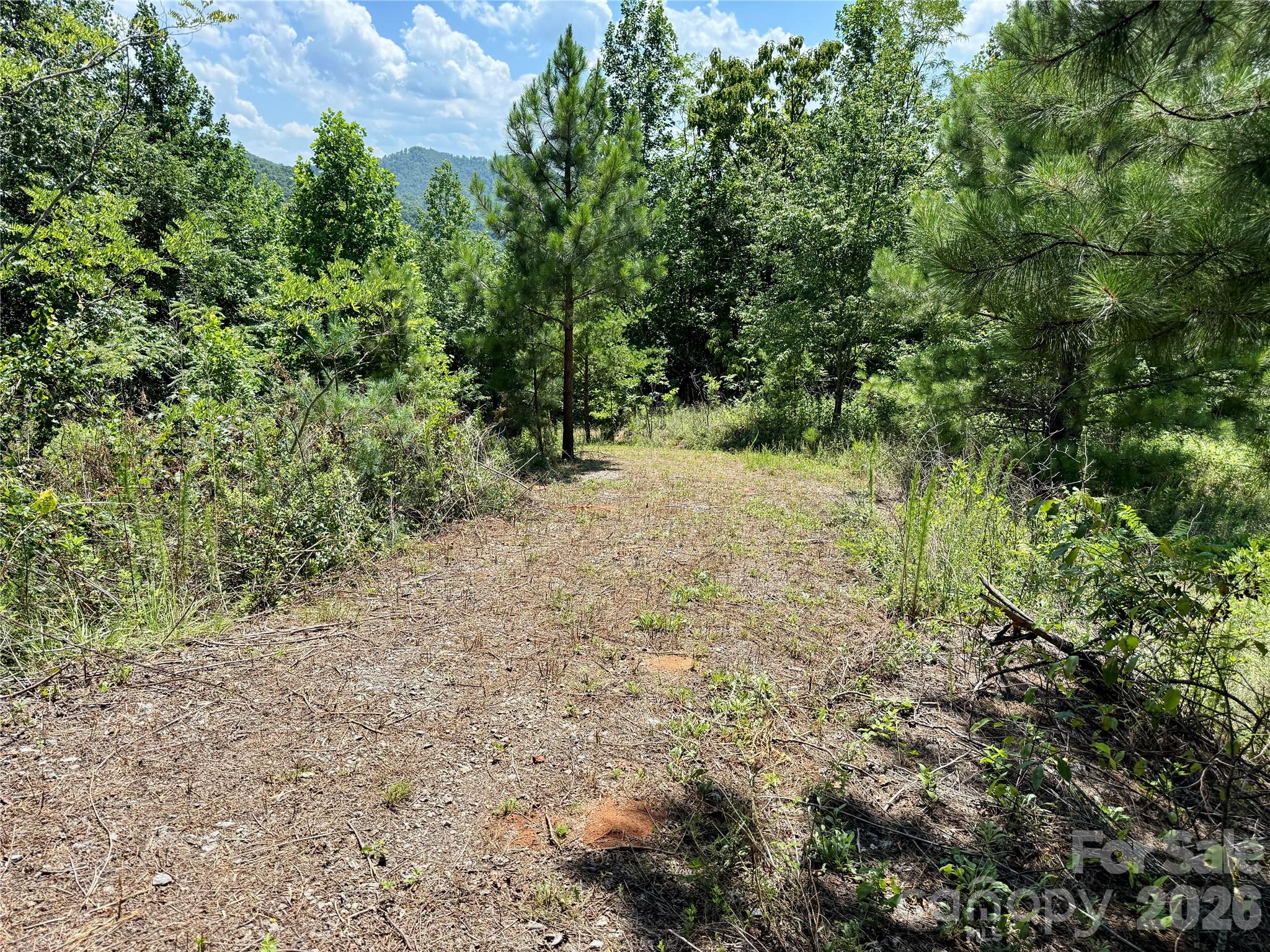V/L Summit Trail 82