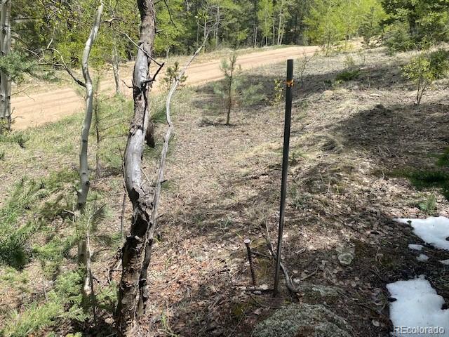 88 N Fork Road