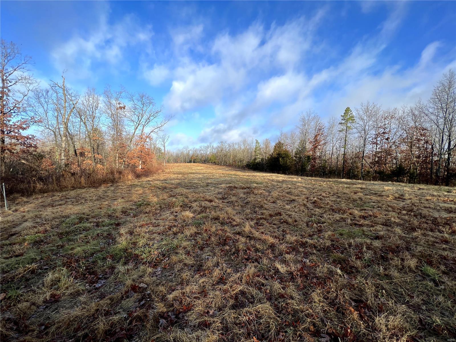 Farms for sale in Viburnum, Missouri, 22077184