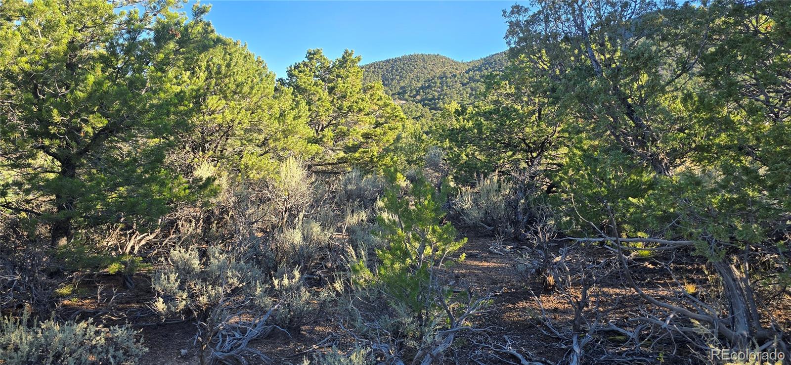 Lot 1361 Dunn Road