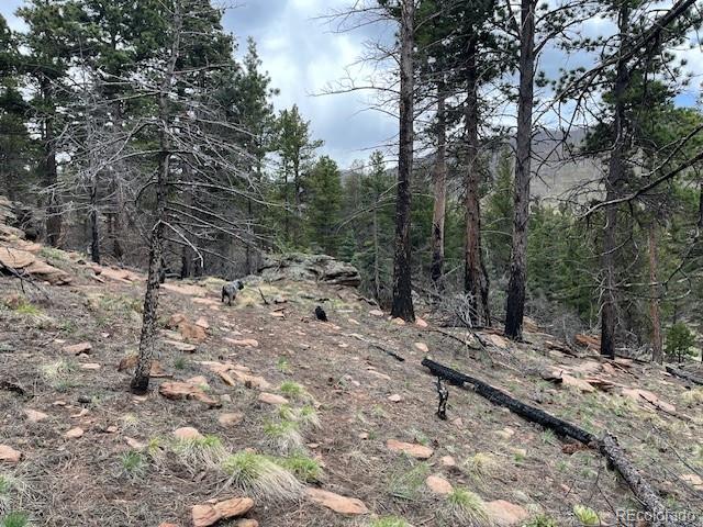 Lot 513 Leslie Loop