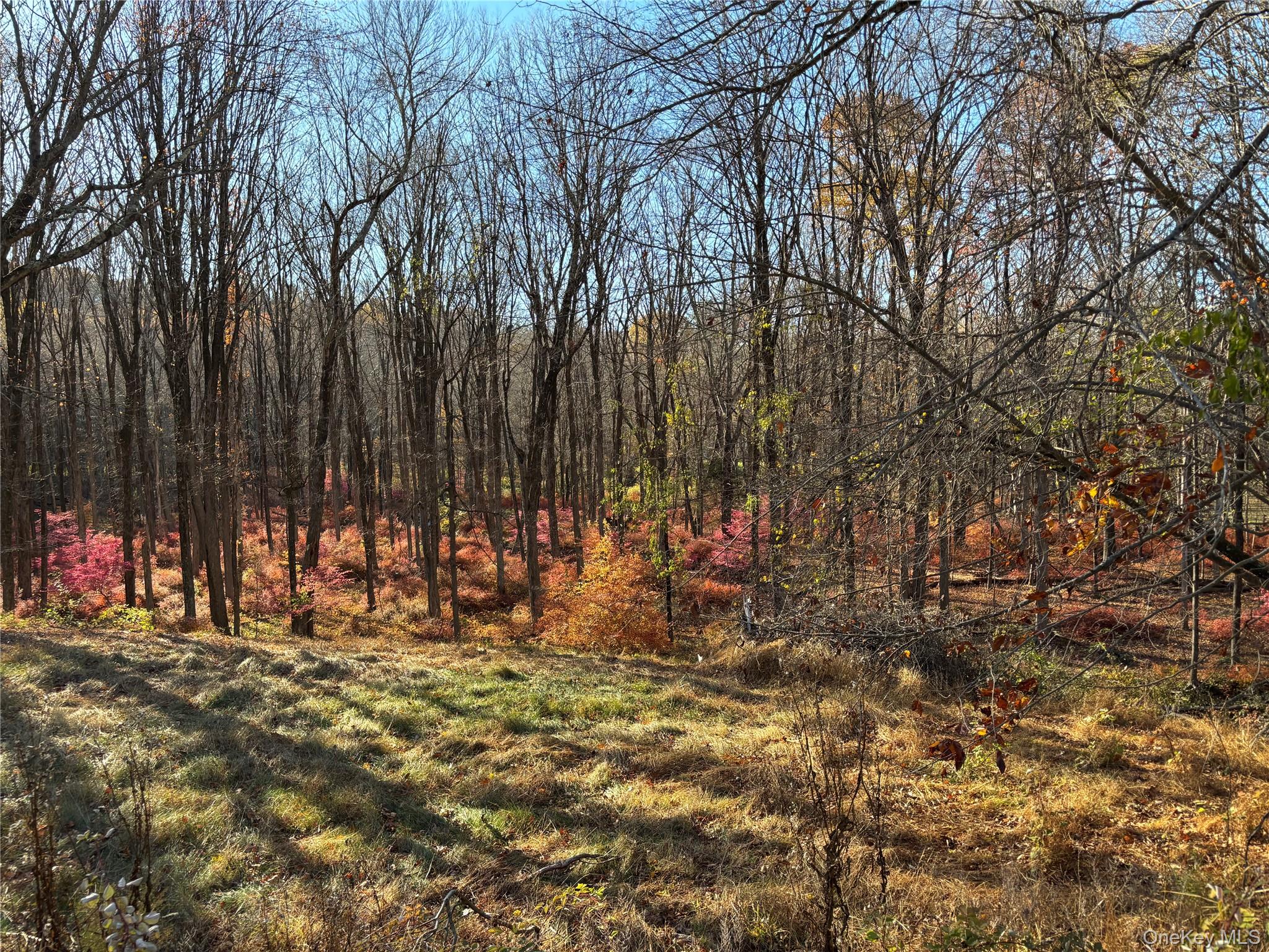Ready to build 4 acre lot in prime location in Bedford NY, bordering the Mianus River Gorge Preserve.  Existing foundation, Septic in place, all utilities available on premises.  Board of Health Approval in Place for 4BR. Opportunity to come and start building your vision as soon as possible.  Plans shown in listing included for 4 BR, 4,133 square ft. home shown in renderings. Waiting to be approved by The Town of Bedford.  Conveniently situated on Long Ridge Road in between Bedford Village and Stamford offering convenience and easy access to all the area has to offer including culture, highways and nearby train to Grand Central in less than 60 minutes.