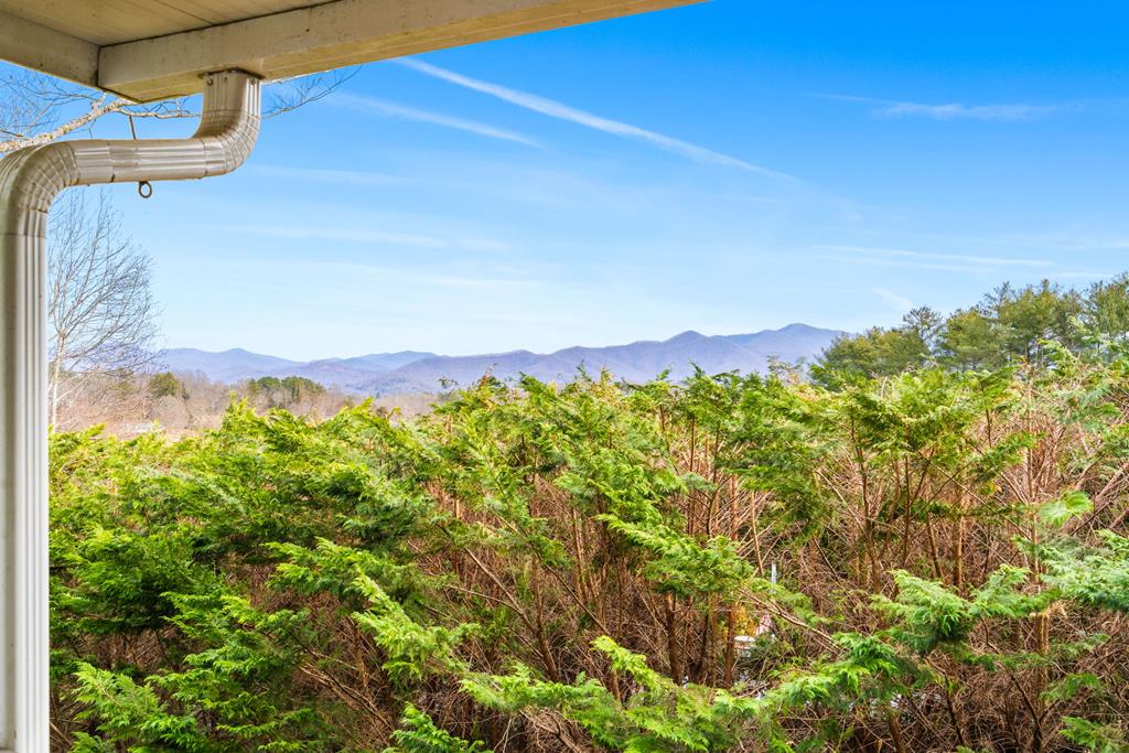 Welcome to easy mountain living in beautiful Franklin! This well-maintained 3-bedroom, 2-bath double-wide mobile home (on a permanent foundation) offers a fantastic long-range view that you'll never get tired of waking up to. ADA access with a wheelchair ramp included at the back door. Inside, the home is clean, comfortable, and thoughtfully cared for. Outside is where it really shines—enjoy your morning coffee or evenings on the covered porch, fire up the grill in the dedicated grilling area, and take advantage of the large workshop, perfect for hobbies, storage, or projects.  Major updates include a brand-new roof installed last year, giving you peace of mind for years to come.  Whether you're looking for a full-time residence, mountain getaway, or investment opportunity, this property delivers space, views, and functionality—all in a great Franklin location just minutes from town.