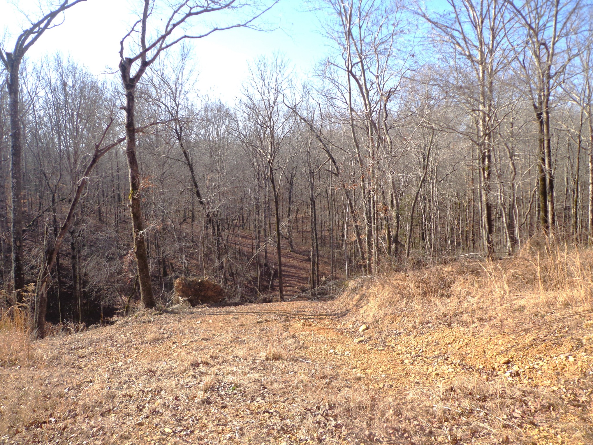 0 Deer Grass Ln