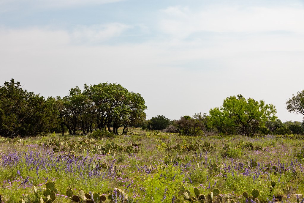 101 NE Big Draw Drive