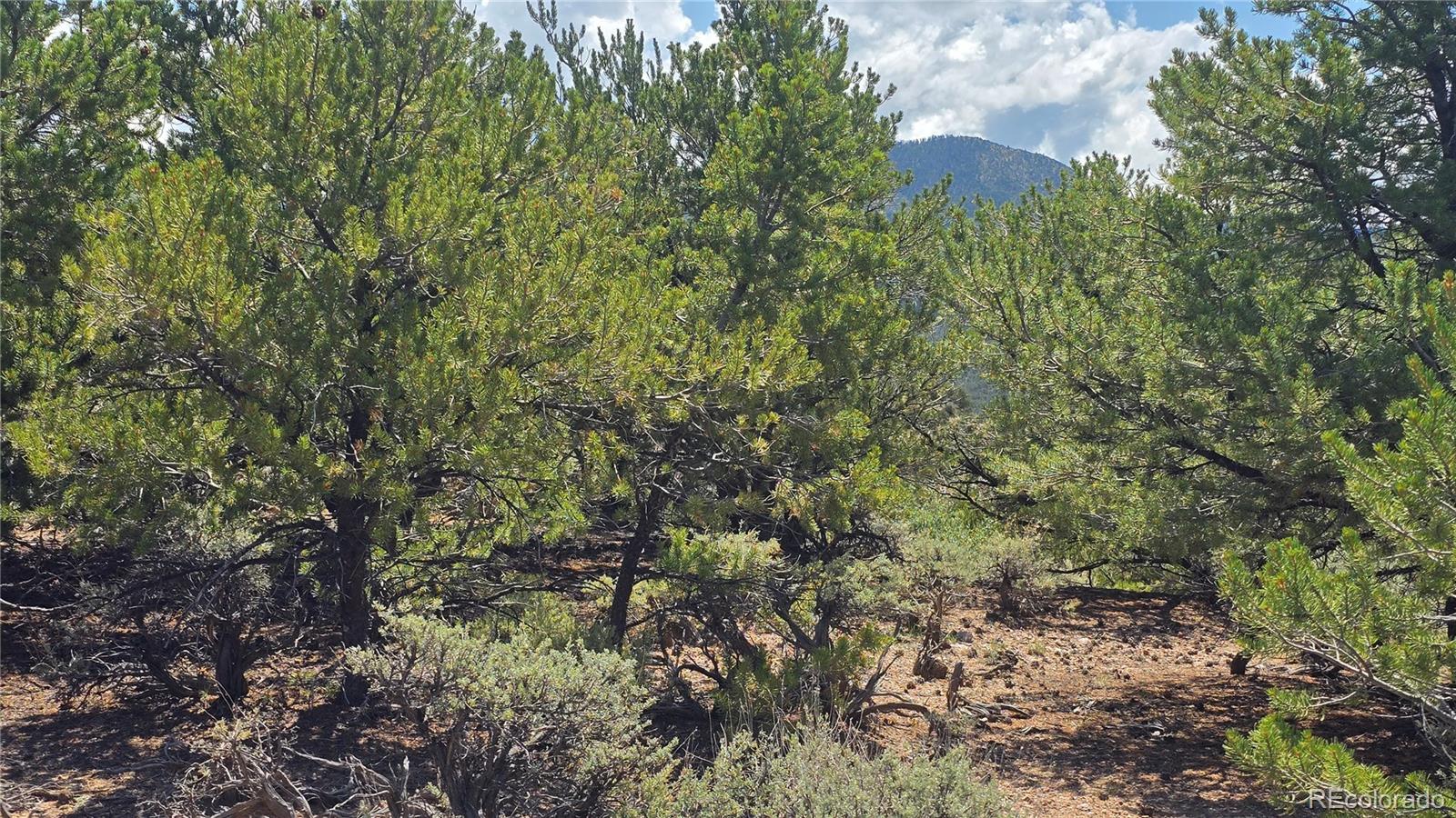 Lot 1615 Dunn Road