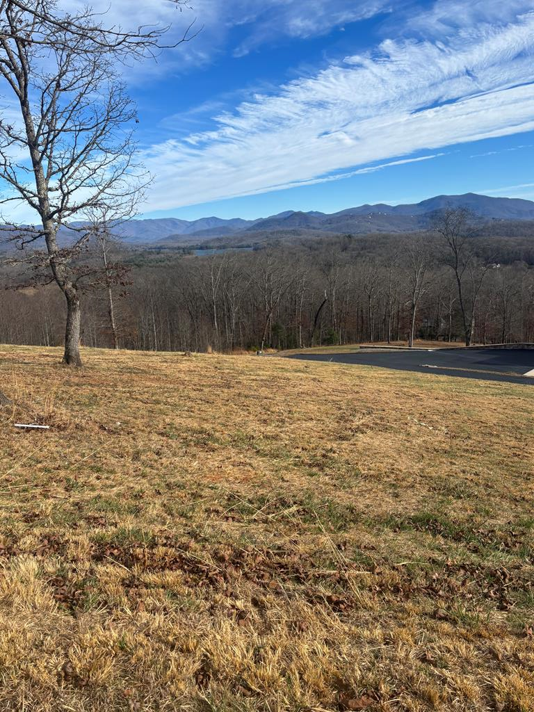 Imagine waking up to mountain and lake views from your own custom-built home on this 2.05+/- acre lot nestled in a beautiful subdivision with wide paved roads. This gently situated property offers the ideal balance of peaceful mountain living and convenience, just minutes from town. Whether you're dreaming of a full-time residence or a mountain retreat, this lot delivers the views, location, and neighborhood you've been searching for.