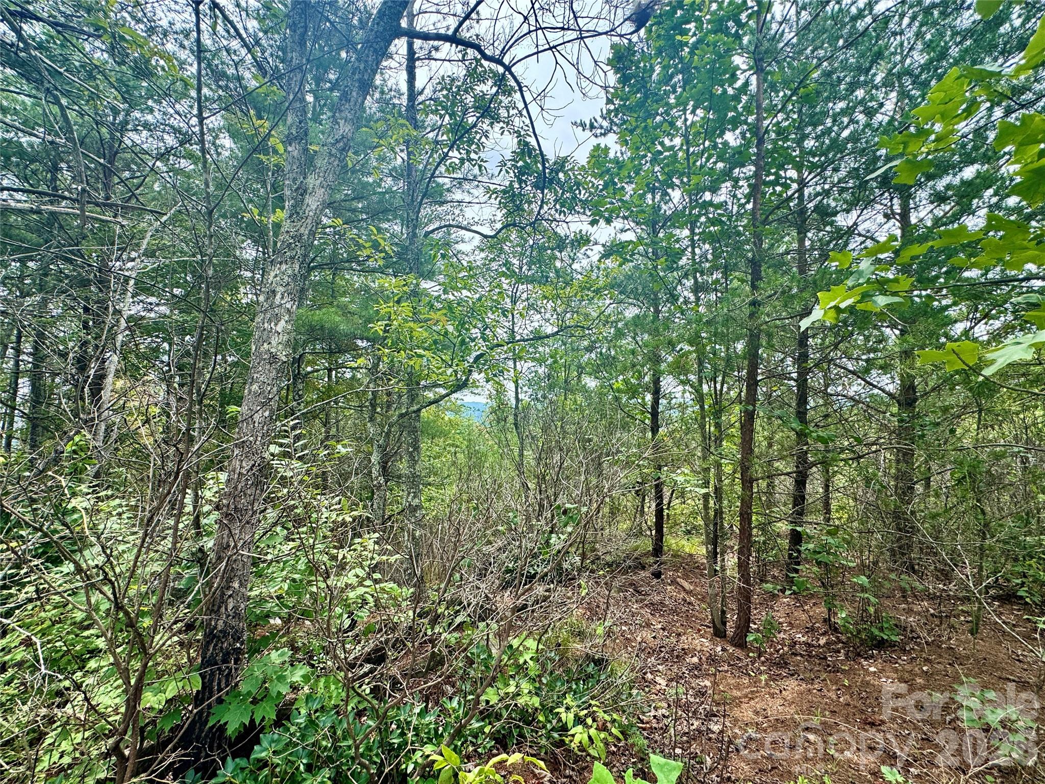 1.46 acres, Lot 48 Tomahawk Ridge Drive Lot 48