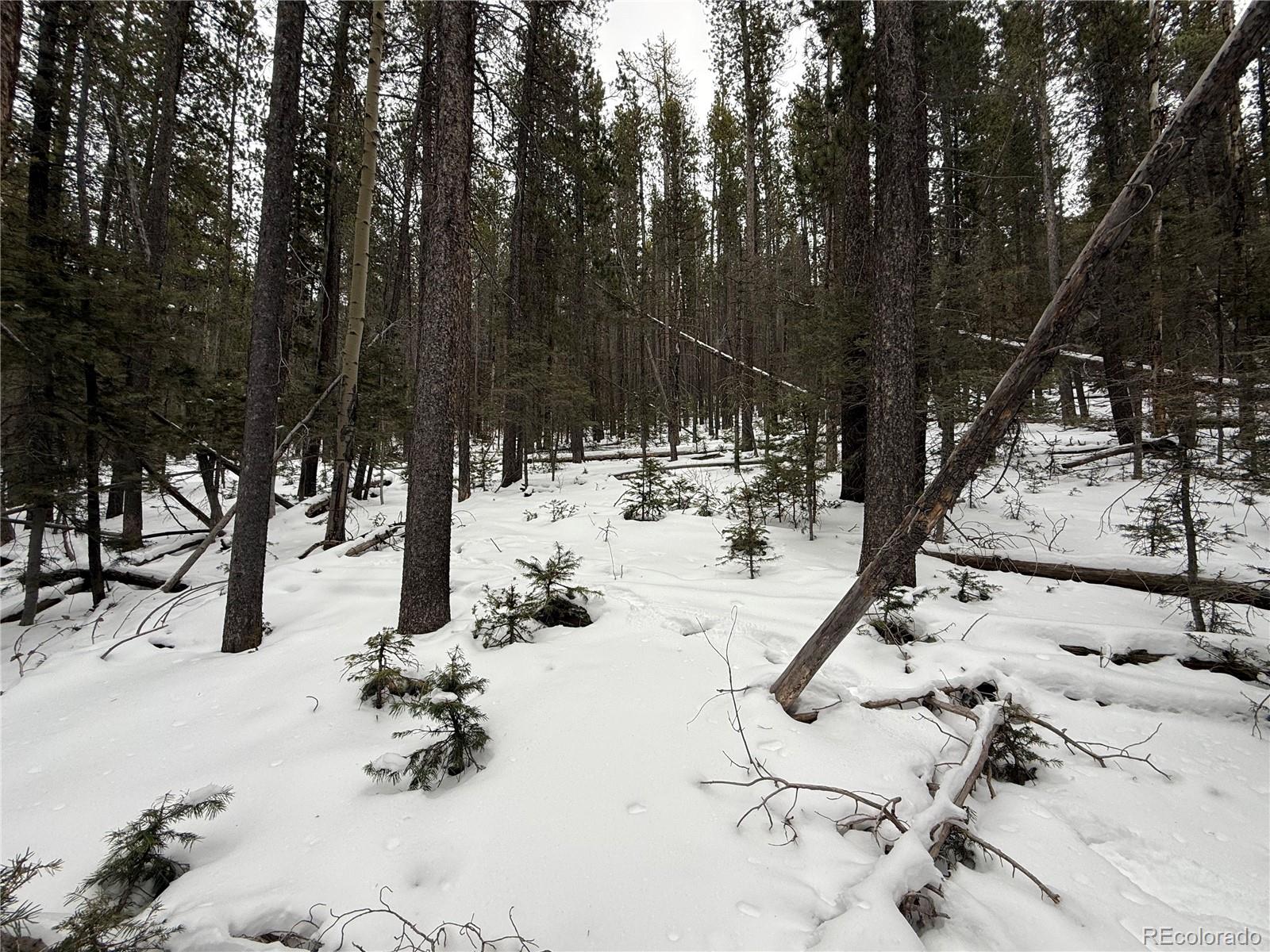 Lot 2806 Moir Drive