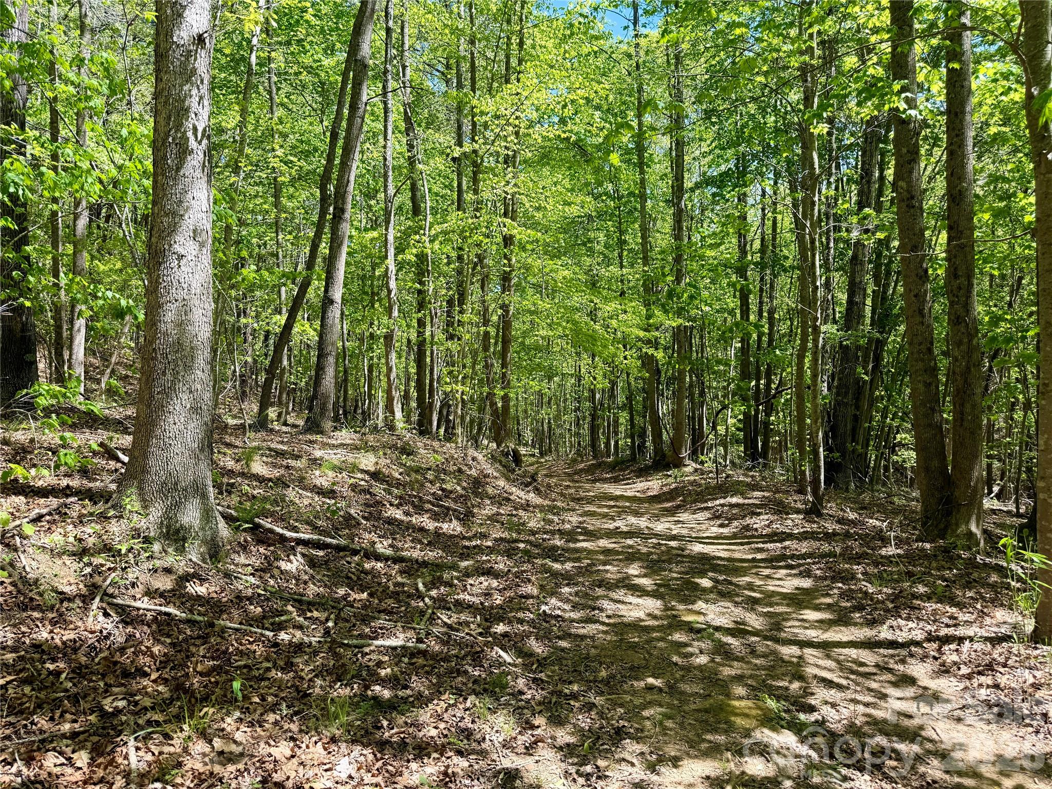 Lot 488 Bella Vista Way 488