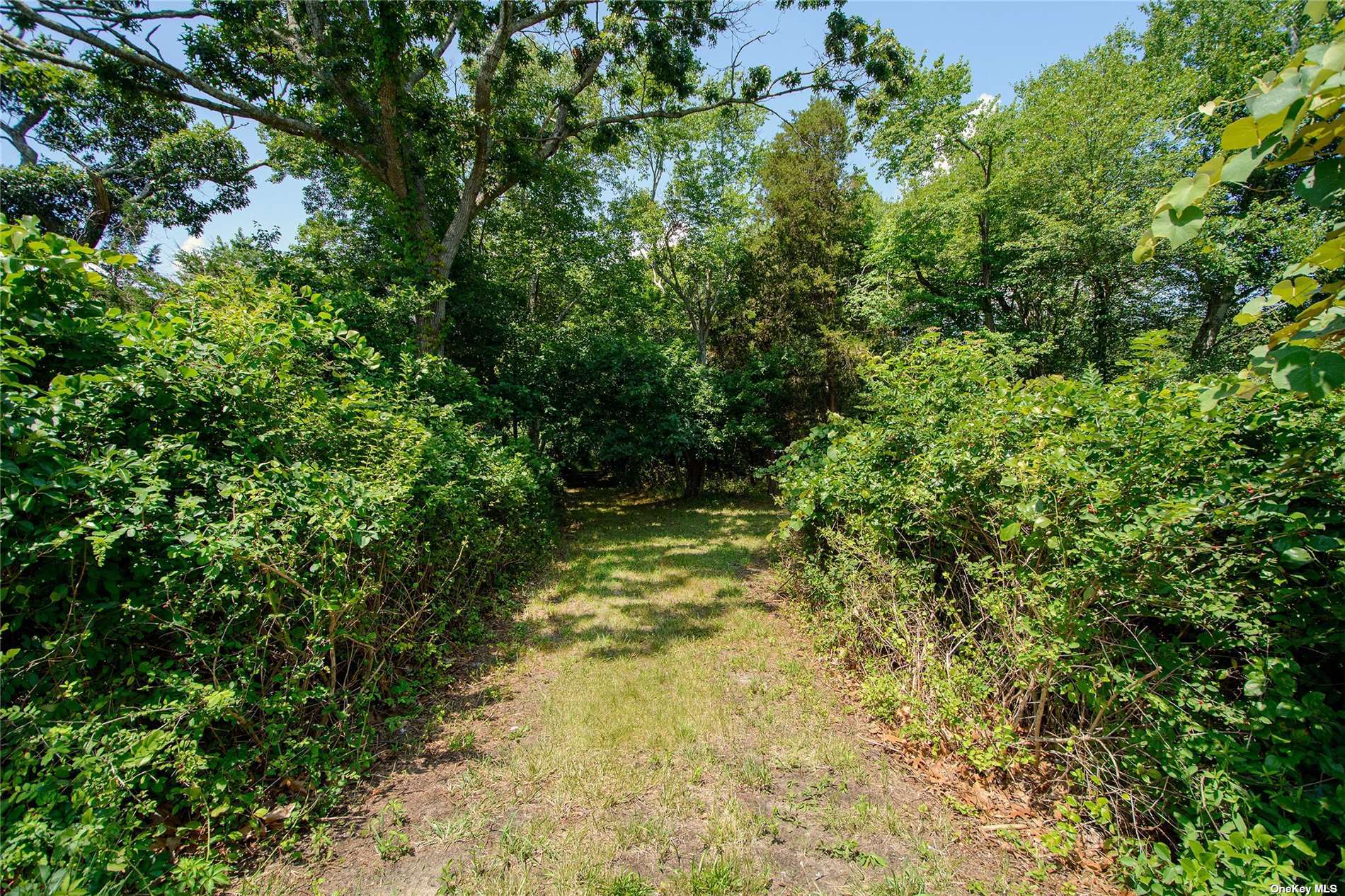 Land for sale in East Quogue, New York, 3516161