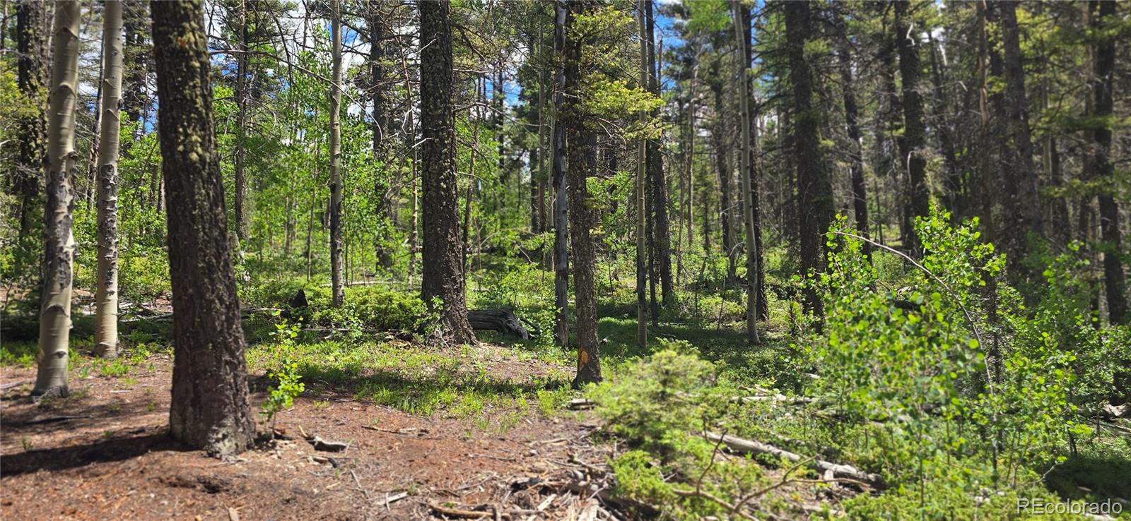 Lot 5778 Balleroy Road