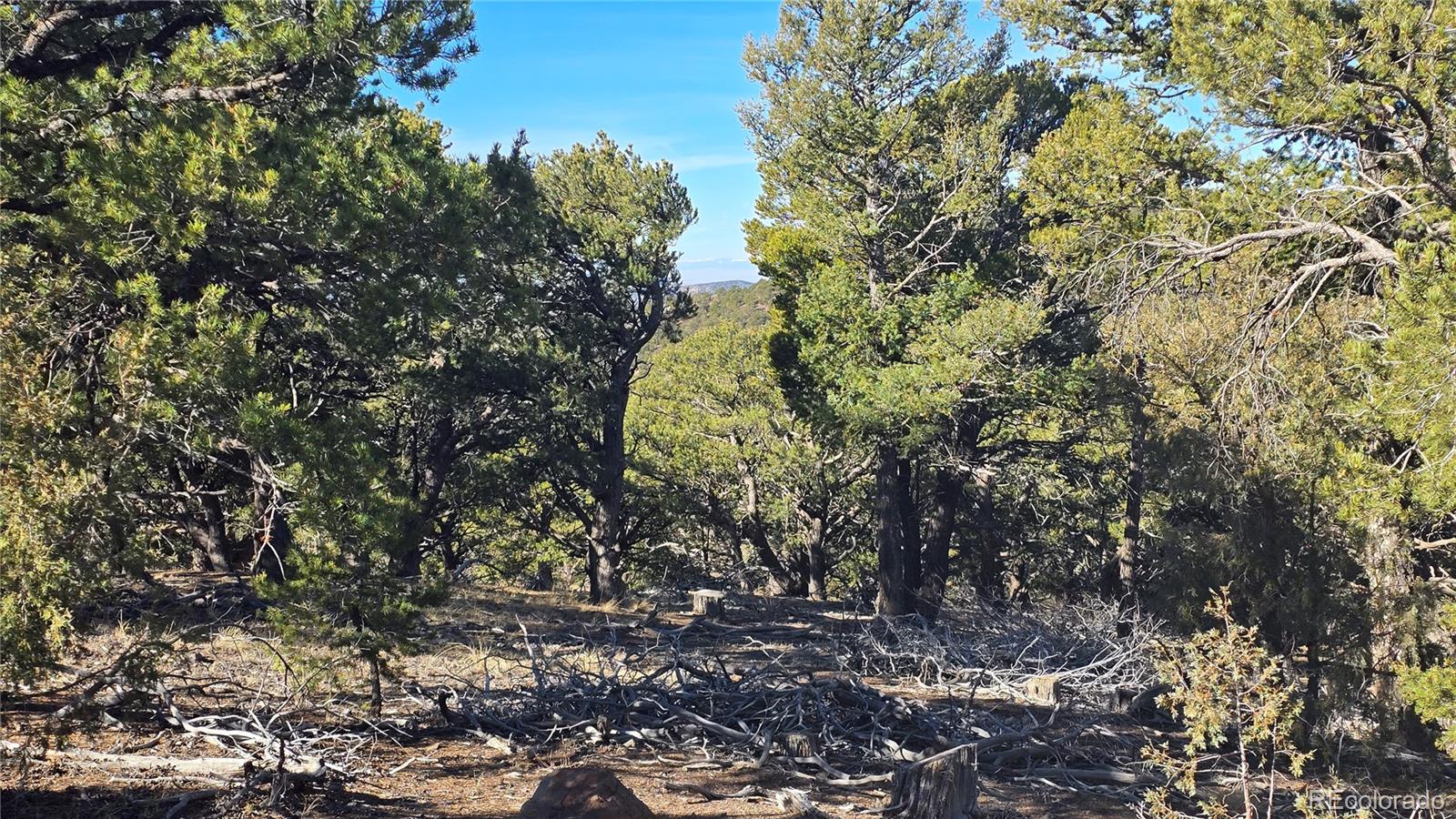 Lot 4510 Iannelli Road