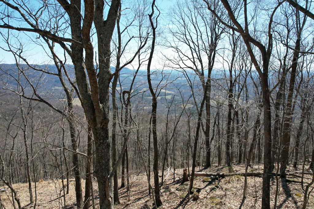Land for sale in Fancy Gap, Virginia, 85967