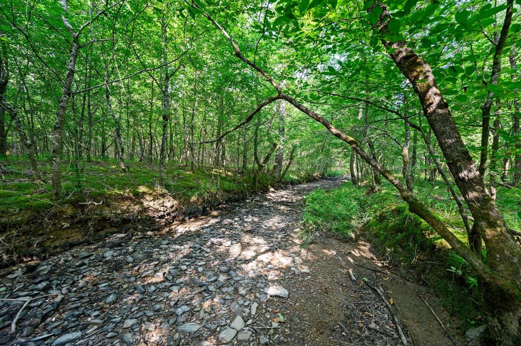 66 Aged Acacia Trail