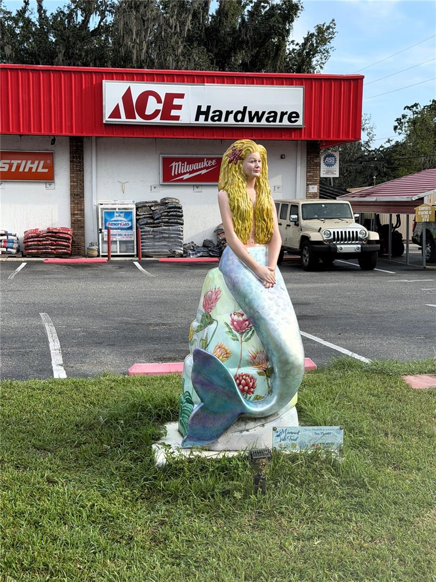 Tampa, FL