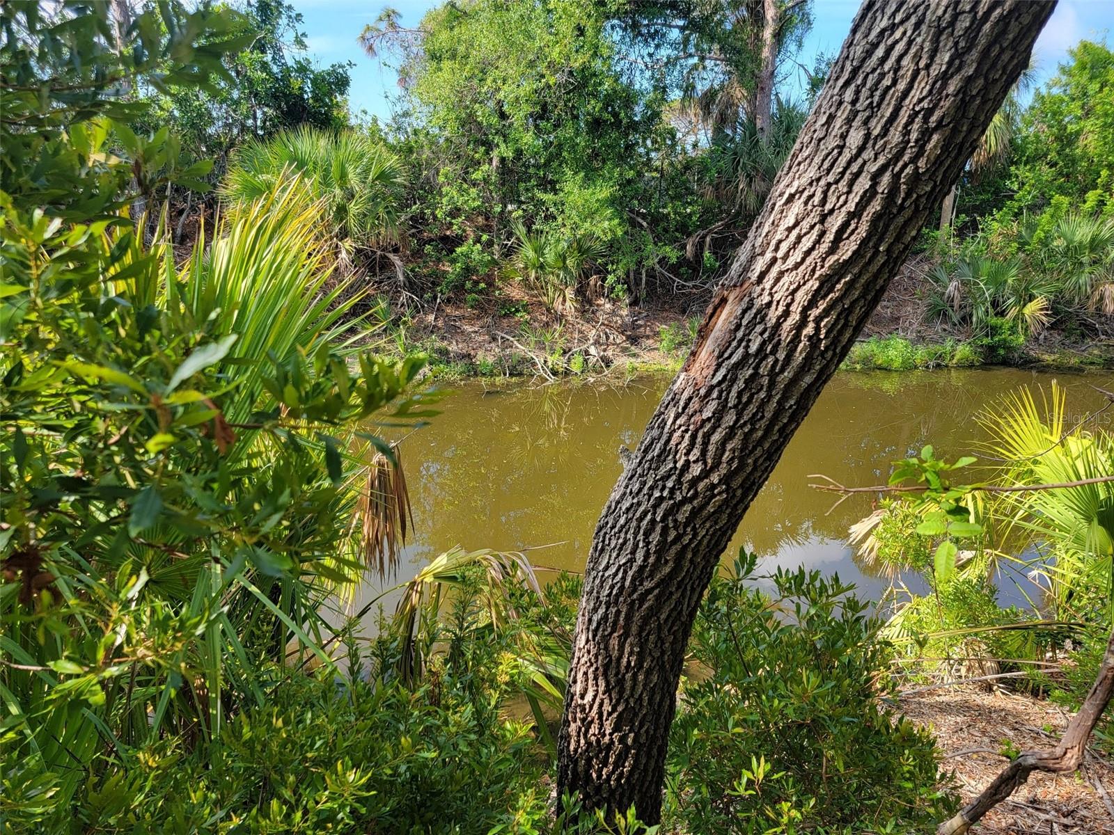 10171 Stonecrop Avenue