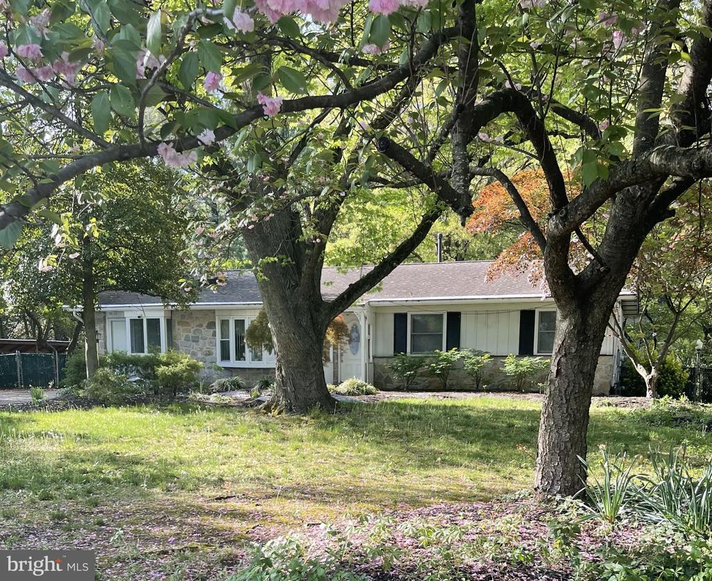 Photos and Remarks Coming Soon