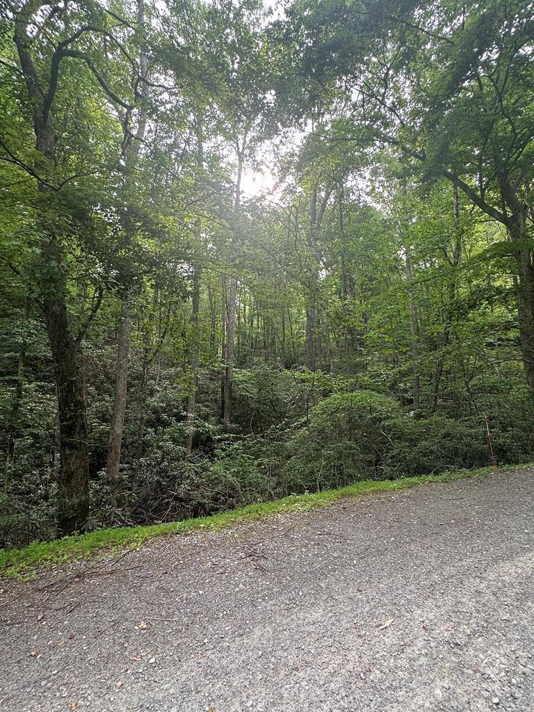 Escape to the Blue Ridge Mountains! Discover this beautiful mountain property located just off the scenic Blue Ridge Parkway in Patrick County, Virginia. Nestled in a gated community, this lot features underground electricity already in place—a perfect head start for building your dream mountain getaway! Enjoy stunning long-range mountain views, peaceful surroundings, and the sights and sounds of local wildlife—deer, turkey, and more—all while being just: 10 minutes to Fancy Gap, 20 minutes to Hillsville, VA,  20 minutes to Mt. Airy, NC You're close to charming shops, great restaurants, and essential amenities, yet tucked away from the noise and traffic of city life. Whether you're dreaming of a quiet retirement home, a weekend retreat, or a forever home in the mountains—this property offers the perfect balance of seclusion and convenience. Don't miss your chance to own a slice of mountain paradise. Call today to schedule a visit or learn more!