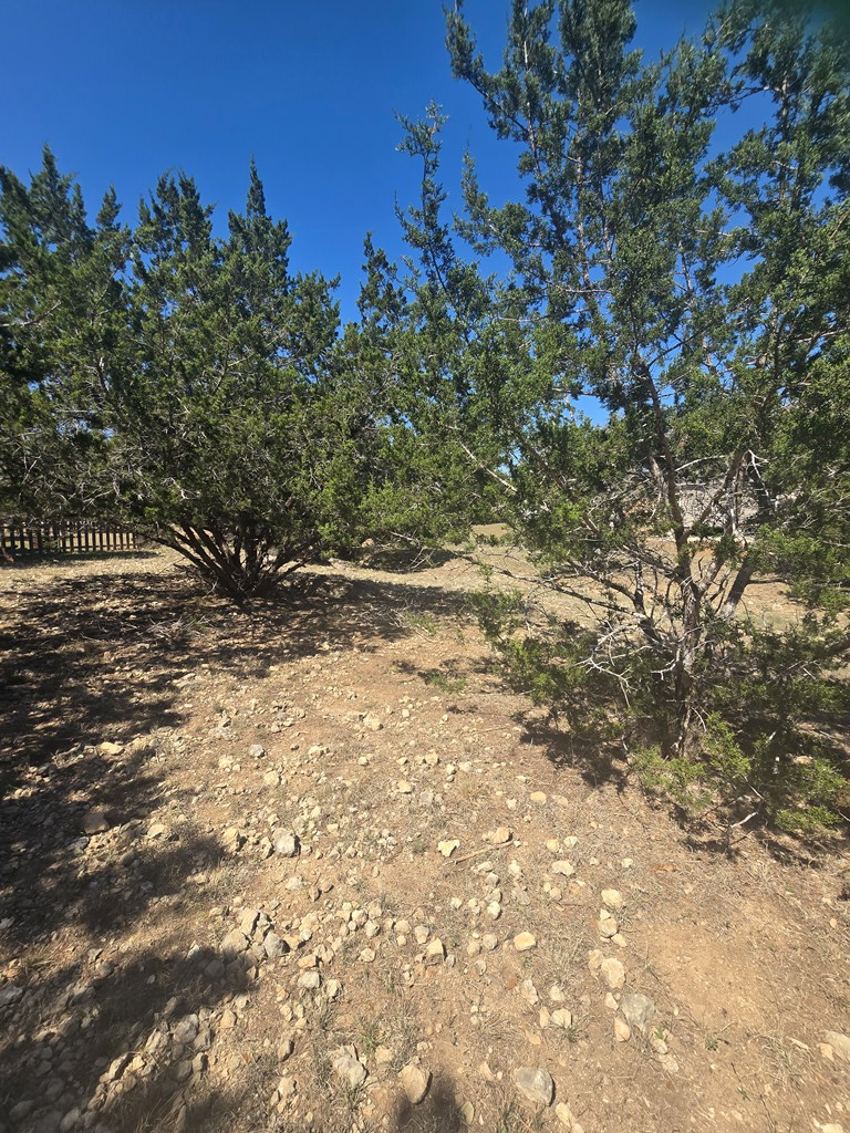 lot 8 Pr 1514