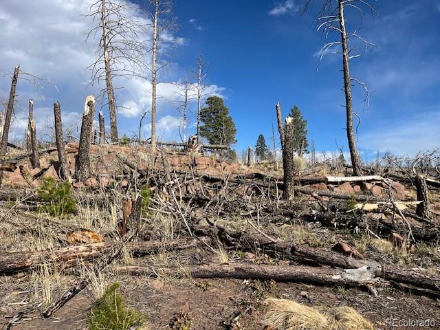 Lot 1020 & 1021 Hassan Lane