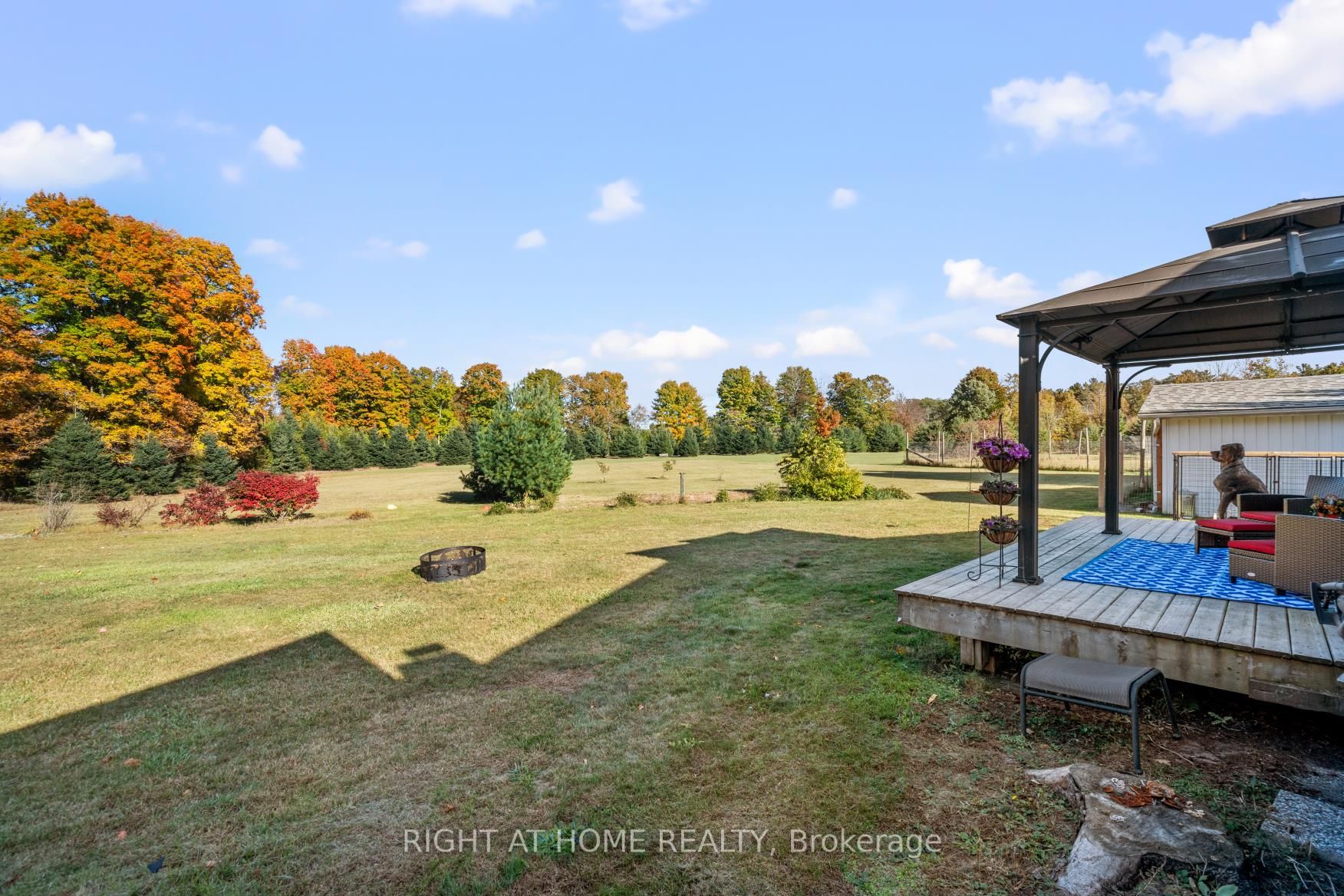 203 Barnes Rd