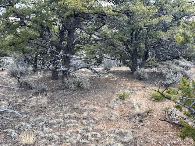 Lot 2087 Sandoval Road