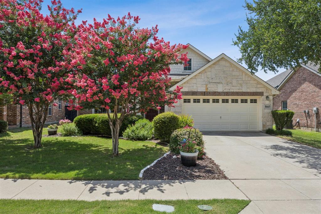 8665 Marion, Drive Frisco, TX