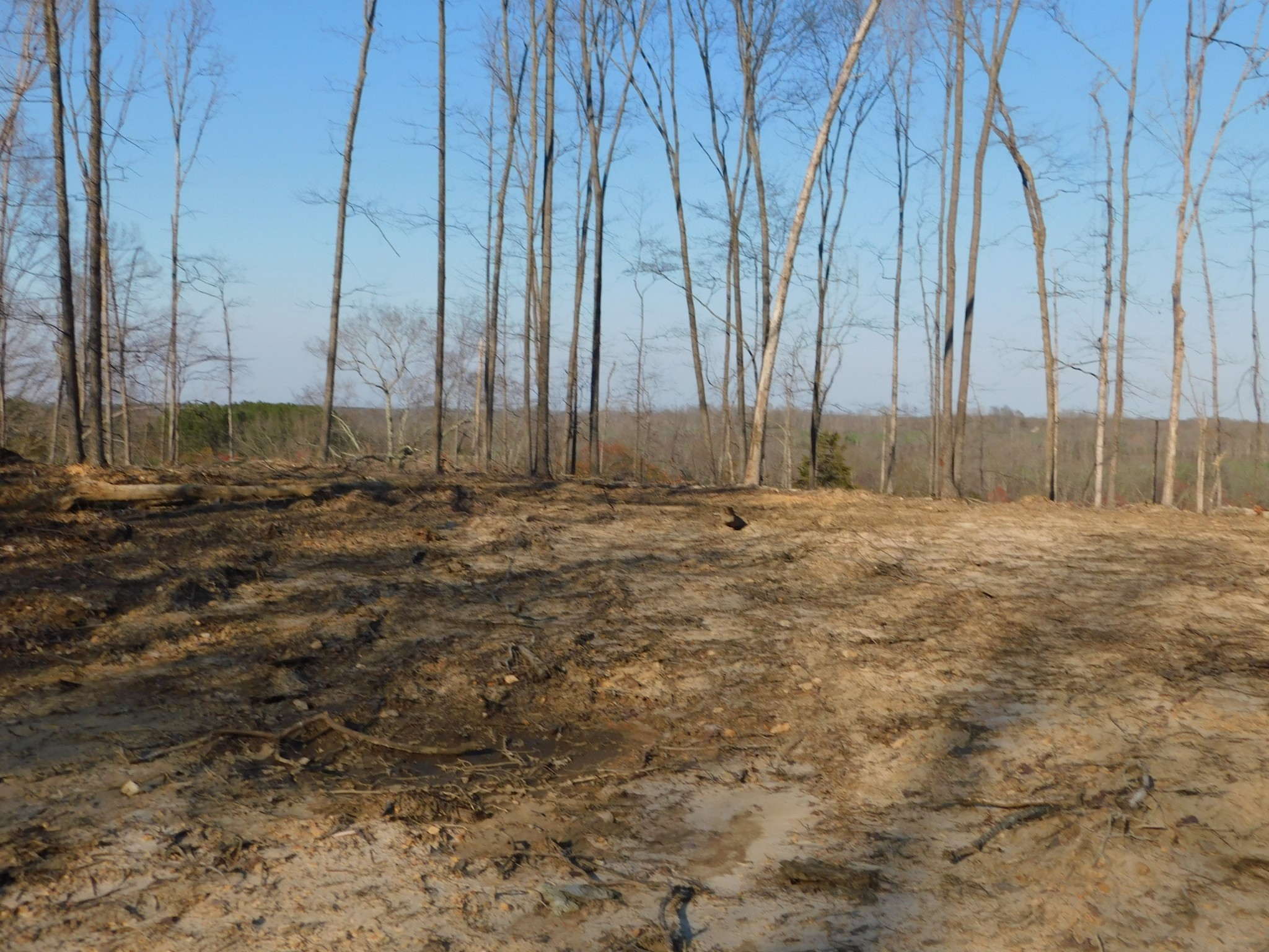 0 Lucas Ridge Road