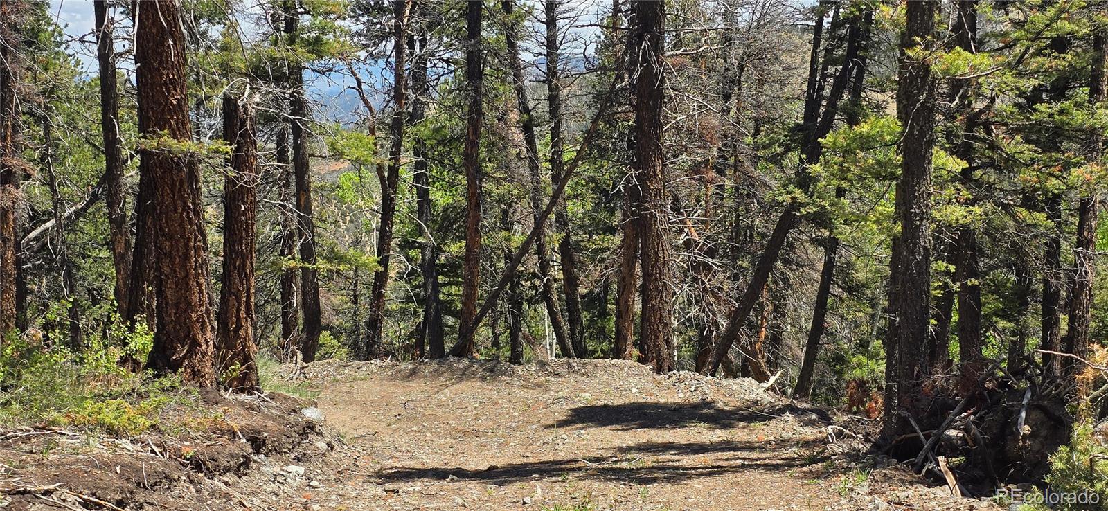 Lot 5546 Balleroy Road