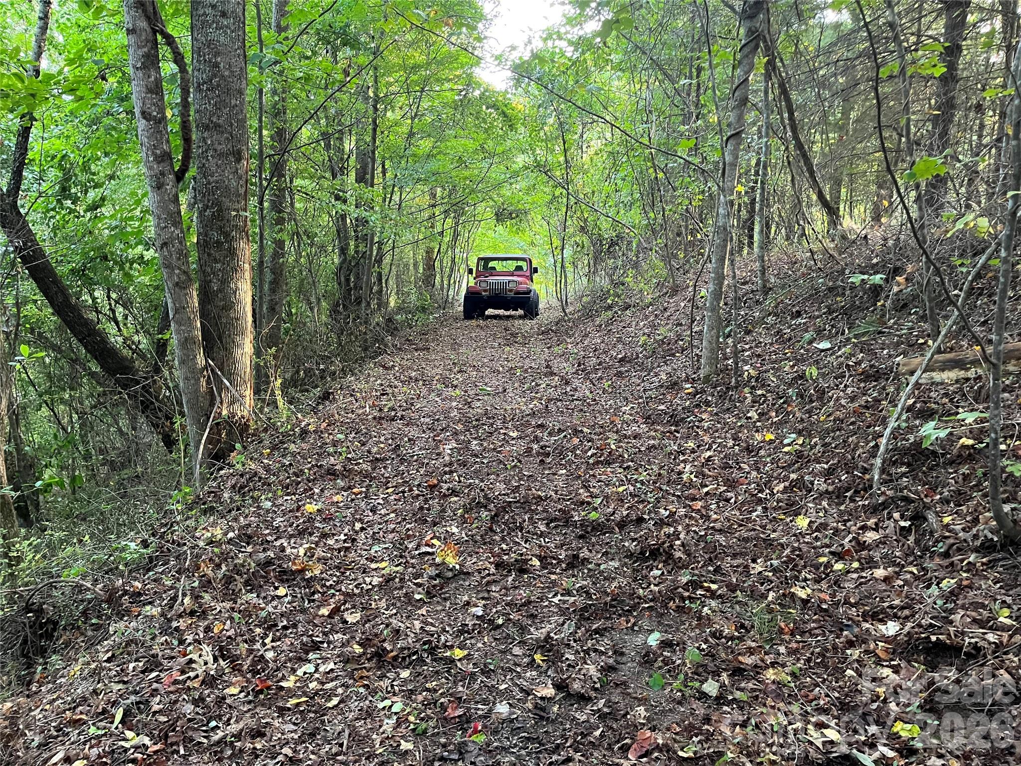 1961 Cane Creek Road