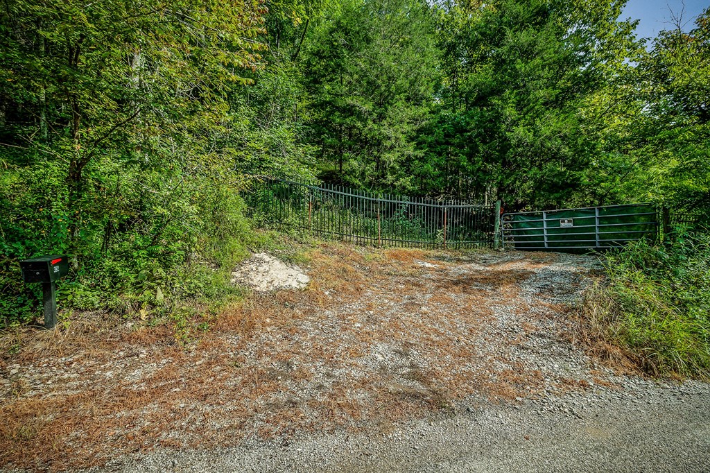392 Possum Hollow Rd