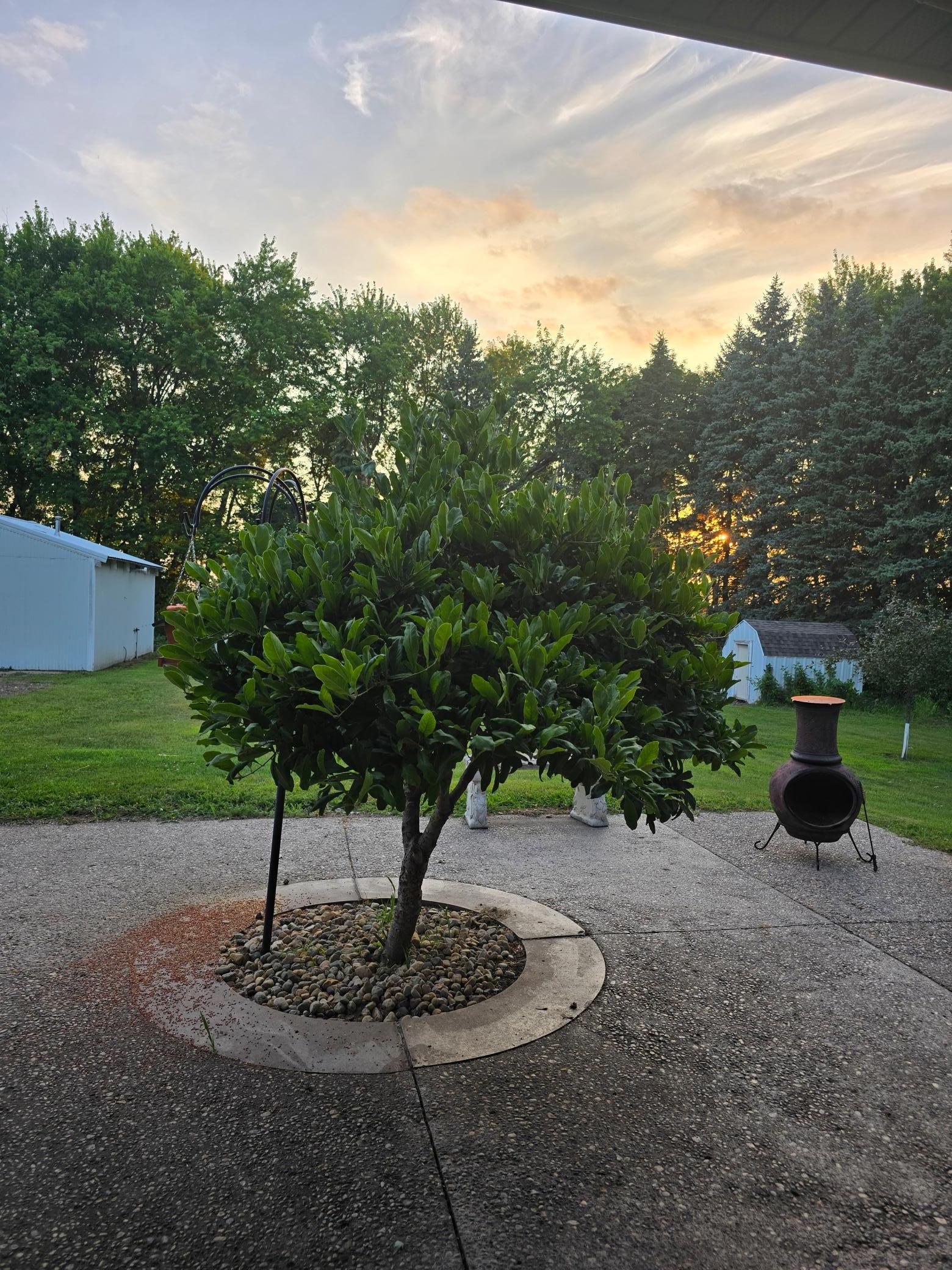 93529 500th Avenue